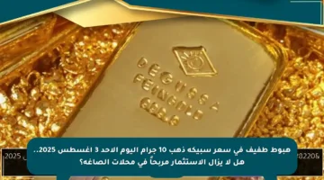 هبوط طفيف في سعر سبيكة ذهب 10 جرام اليوم الأحد 3 أغسطس 2025.. هل لا يزال الاستثمار مربحاً في محلات الصاغة؟